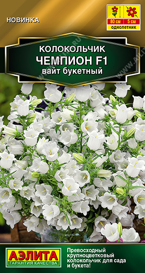 Колокольчик Чемпион вайт букетный 4шт