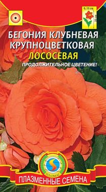цБегония клубневая Лососевая крупноцветковая