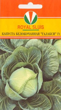 Капуста бк Галакси 20шт /Semenis/ позднеспелая