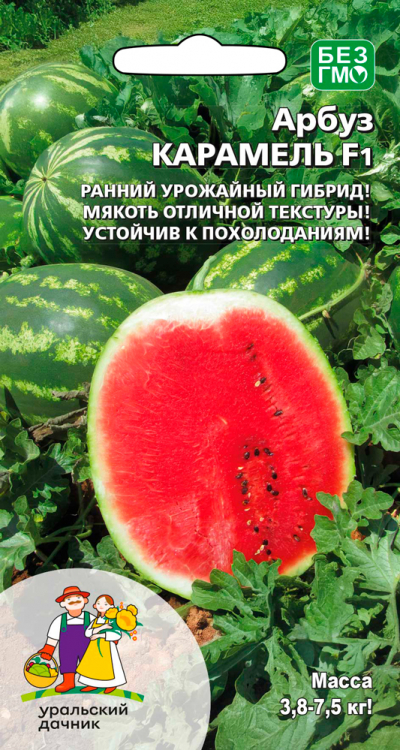 Арбуз Карамель 10шт