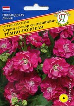 цМаттиолла Сахар со специями Темно-Розовая, 10 шт Голландия