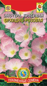 цЭнотера Орхидно-розовая 0,05г