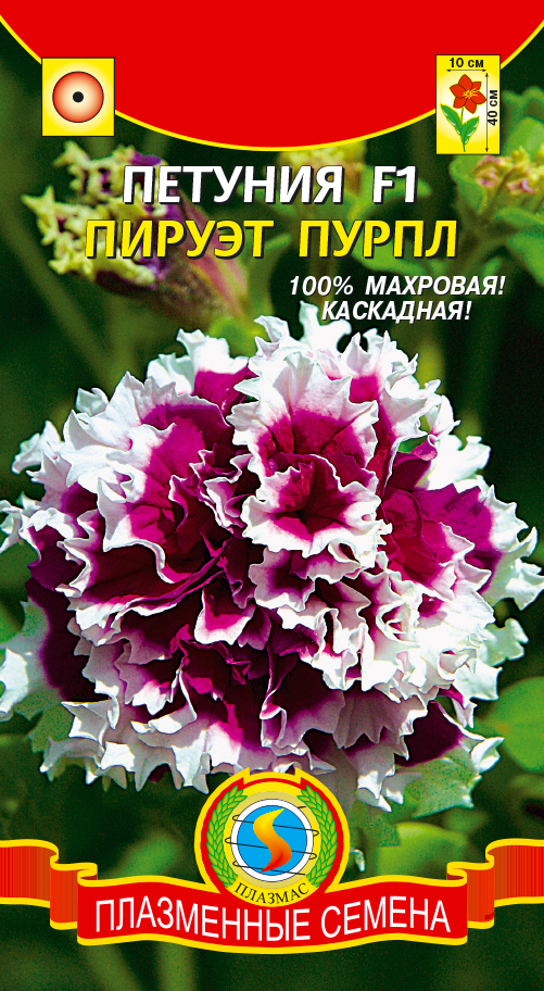 цПетуния Пурпл Пируэт, махр. каск. (пурпурная с бел.) 10гр. +