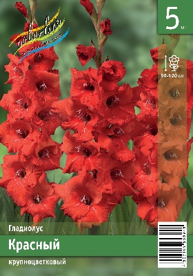 Гладиолус ЭКОНОМ-СЕРИЯ КРАСНЫЙ (5 шт)