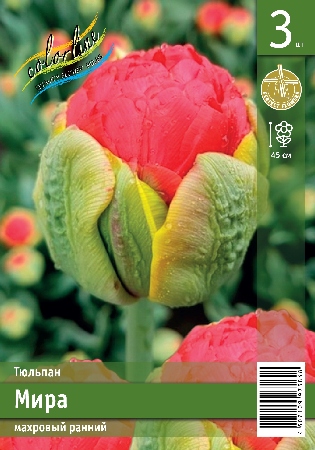 Тюльпан ЭКОНОМ-СЕРИЯ МИРА (3 шт)