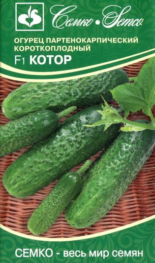 Огурец Котор 5шт