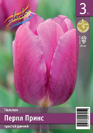 Тюльпан ЭКОНОМ-СЕРИЯ ПЕРПЛ ПРИНС (3 шт)