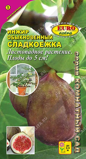 Инжир Сладкоежка