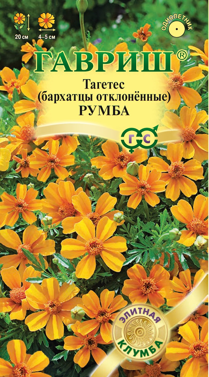цБархатцы Румба откл. 10шт