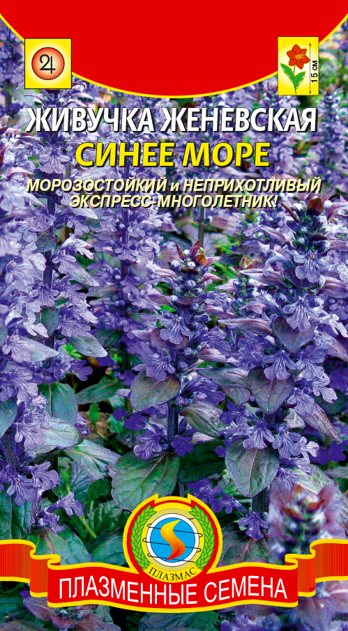 цЖивучка Синее море женевская 10шт