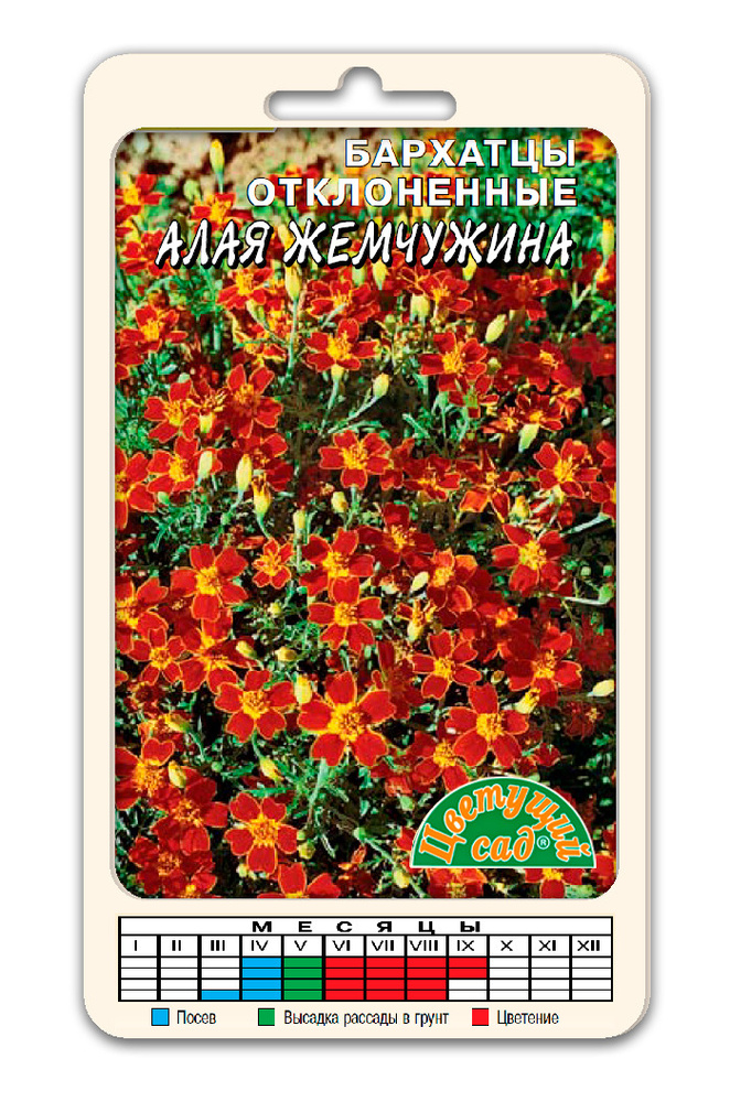 цБархатцы Алая жемчужина 0,05г