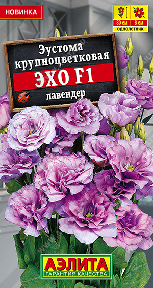Эустома Эхо лавендер 5шт
