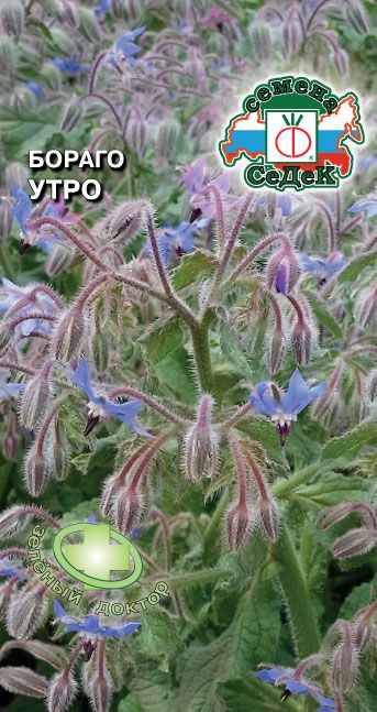 Бораго Утро 0,5г