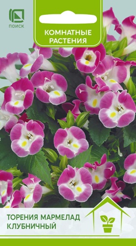 Торения Мармелад Клубничный 5шт