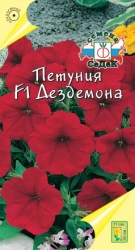 цПетуния Дездемона