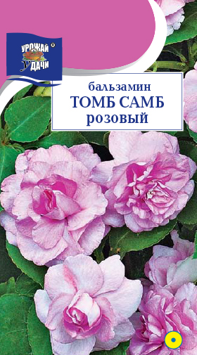 цБальзамин Том Самб розовый 0,2г