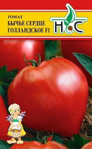 Томат Бычье Сердце Голландское 10шт (Seminis/Нидерланды)