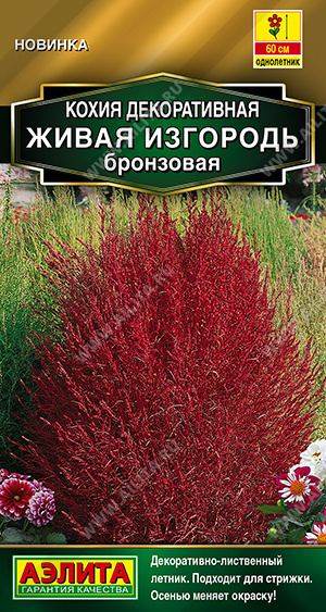 Кохия Живая изгородь бронзовая 0,1г