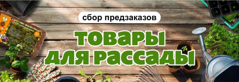 Соверши выгодную покупку РАССАДНОЙ ПРОДУКЦИИ