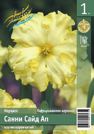 Нарцисс ЭКОНОМ-СЕРИЯ САННИ САЙД АП (1 шт)