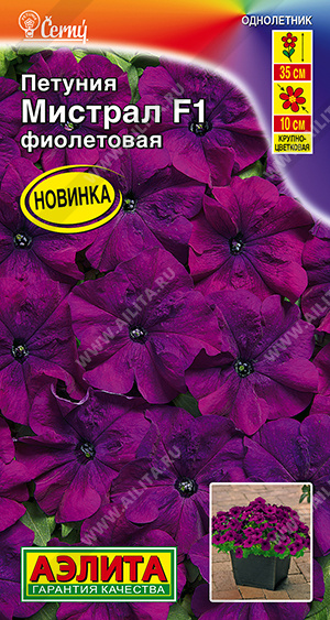 Петуния Мистрал фиолетовая 7шт