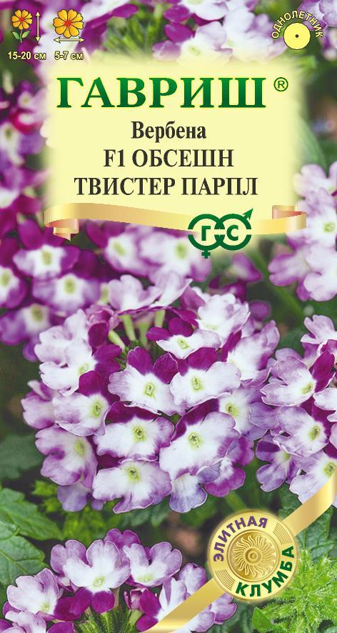 цВербена Обсешн Твистер парпл 4шт Элитная клумба