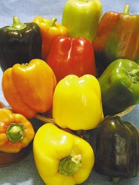 Перец Сиеста смесь 20шт