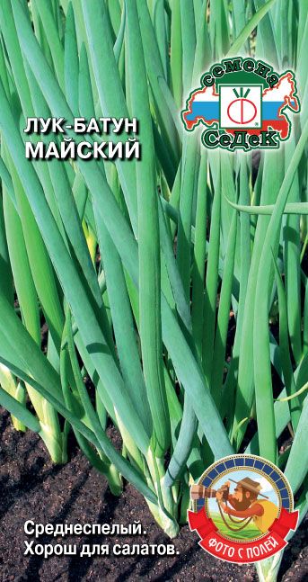 Лук батун Майский 1г