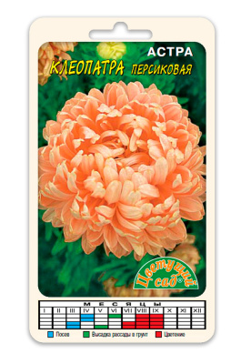 Астра Клеопатра персиковая 0,2г