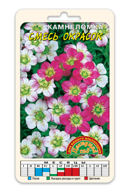 Камнеломка Смесь окрасок 0,01г
