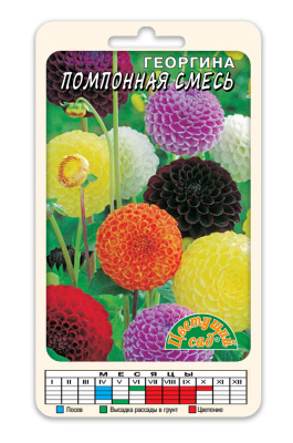 Георгина Помпонная смесь 0,2г