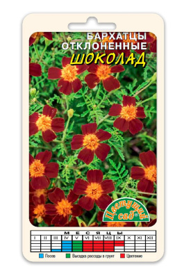 цБархатцы Шоколад 0,05г
