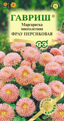 Маргаритка Фрау Персиковая 4шт