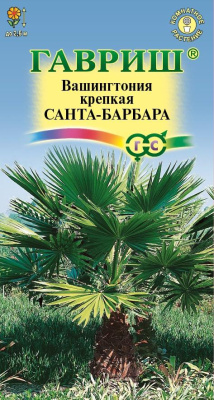 цВашингтония Санта-Барбара 3шт