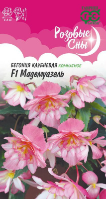 Бегония Мадемуазель клубн. 4шт Розовые сны