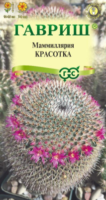 Маммиллярия Красотка 2шт