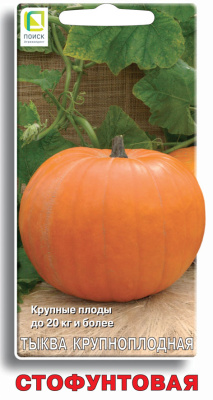 Тыква Стофунтовая 10шт крупноплодная