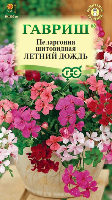Пеларгония Летний дождь амп. 3шт