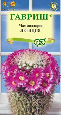 Маммиллярия Летиция 2шт