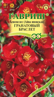 Хеномелес Гранатовый браслет (айва японская) 0,3г