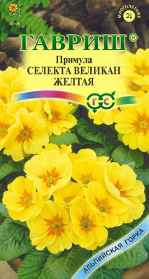 Примула Желтый великан 10шт Альпийская горка
