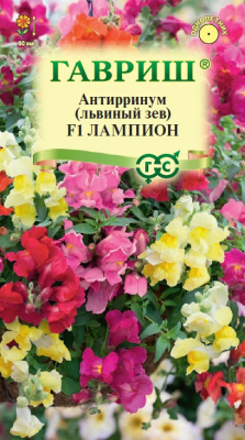 Антирринум Лампион амп. (Львиный зев) 5шт