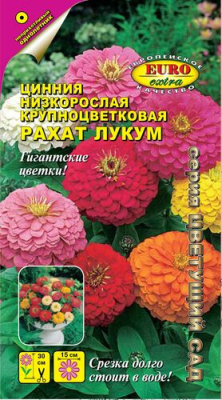 Цинния Рахат Лукум низк. 0,2г