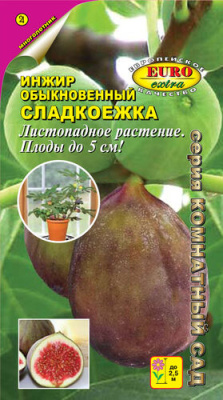 Инжир Сладкоежка комнатный 0,01г