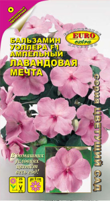 цБальзамин Лавандовая мечта амп. 5шт