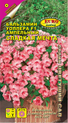 цБальзамин Сладкая мечта амп. 5шт