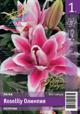Лилия ЭКОНОМ-СЕРИЯ ROSELILY ОЛИМПИЯ (1 шт)