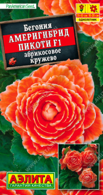 Бегония Америгибрид Пикоти абрикосовое кружево 5шт