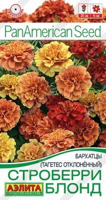 Бархатцы Строберри блонд откл. 5шт