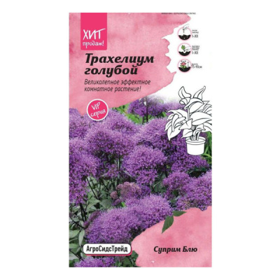Трахелиум Суприм Блю 5шт АСТ